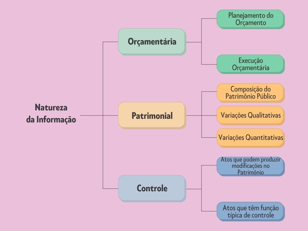 natureza da informação contábil