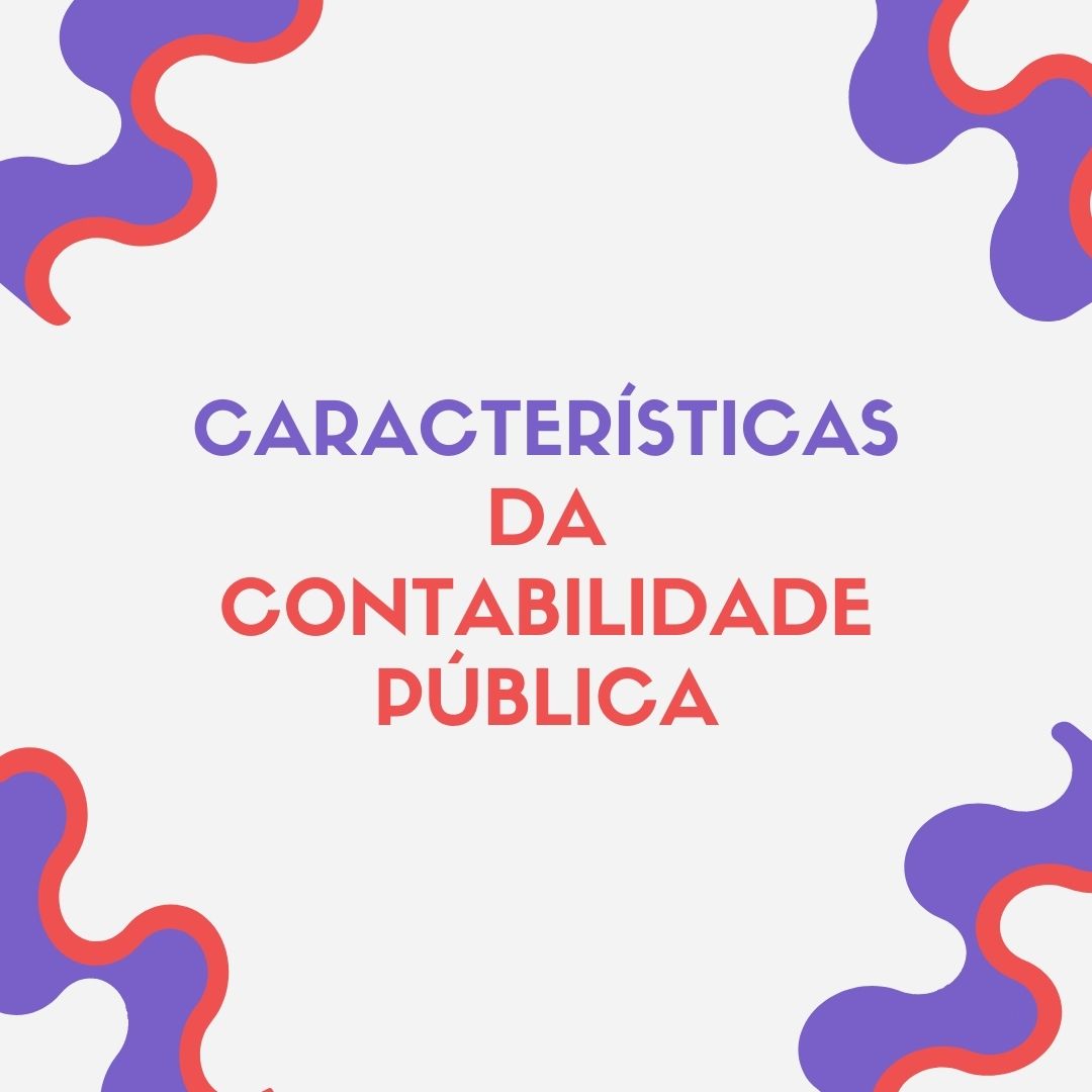caracteristicas da contabilidade publica