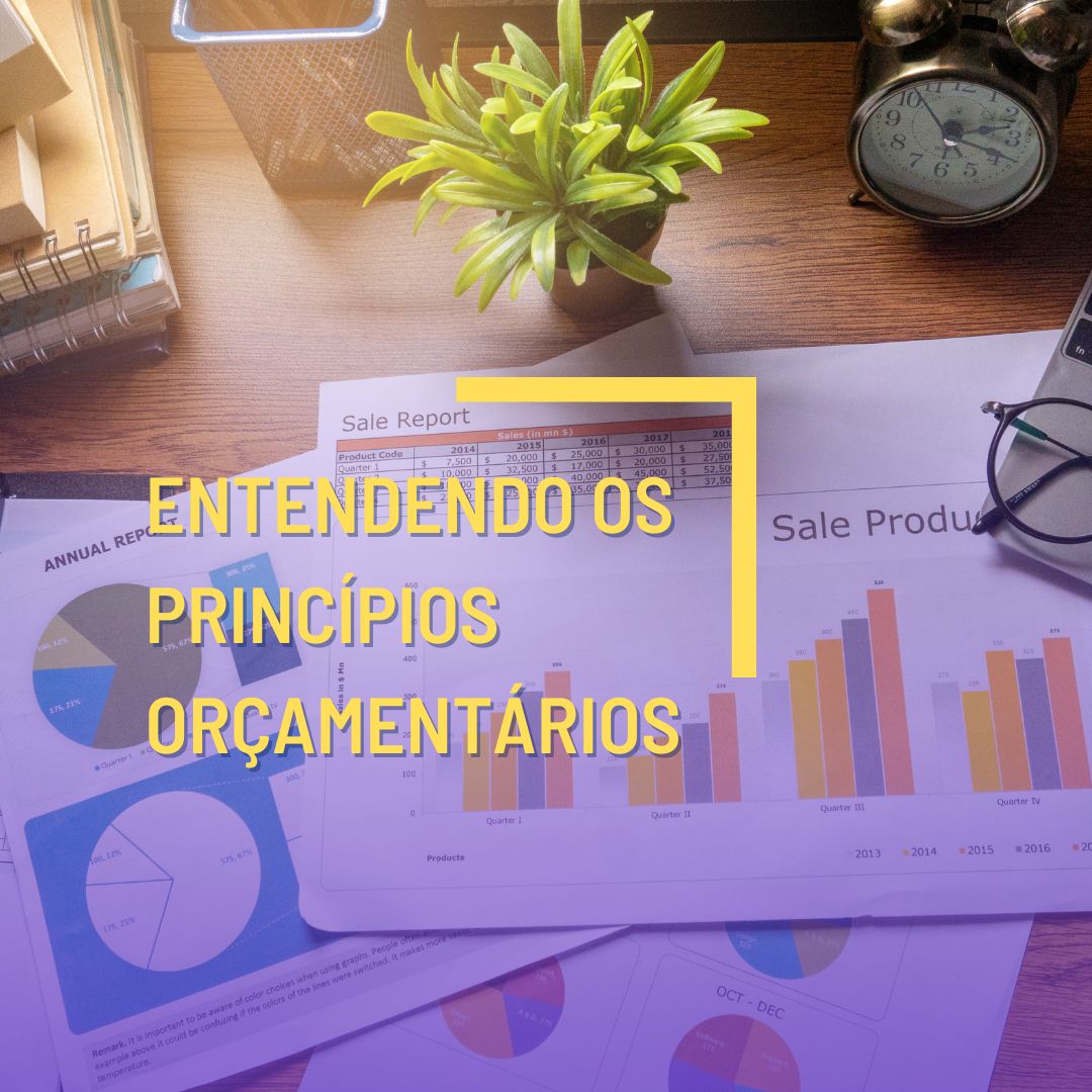 Entendendo os Princípios Orçamentários