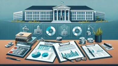 Auditoria Governamental: Ferramenta Essencial para a Transparência